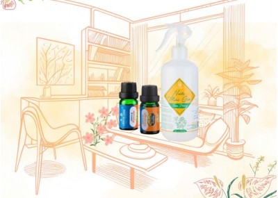 Combo thanh lọc không khí, nhà cửa thơm tho