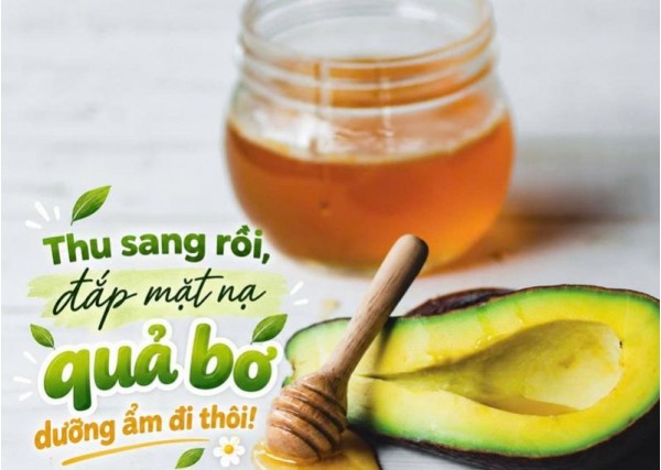Thu sang rồi, đắp mặt nạ quả bơ dưỡng ẩm đi thôi!