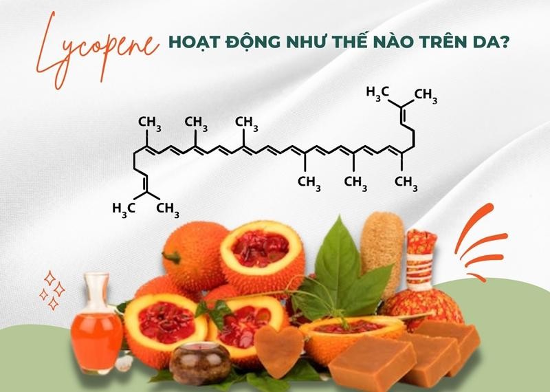 Lycopene hoạt động như thế nào trên da? 