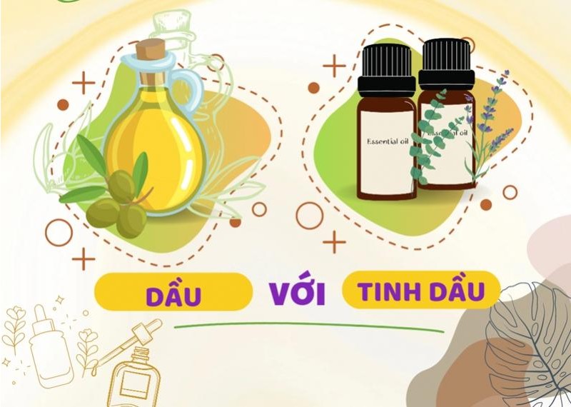 Bạn đã biết cách phân biệt dầu với tinh dầu?