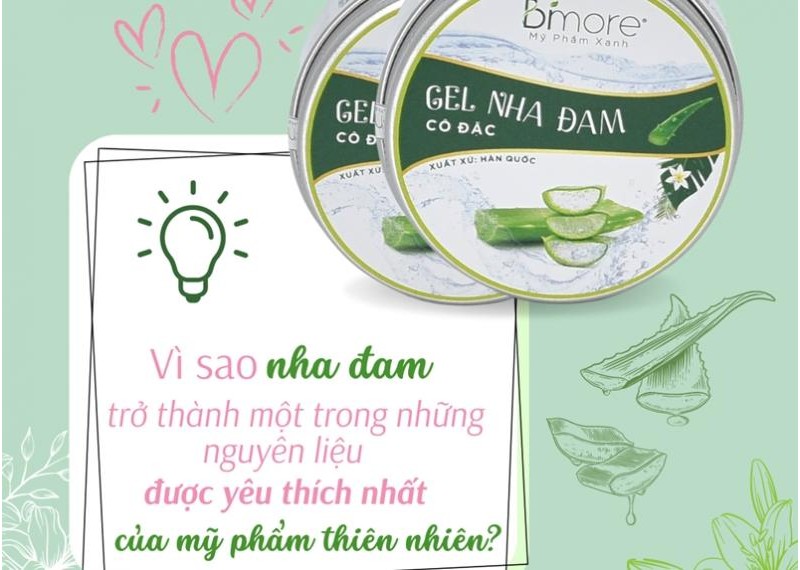 Vì sao nha đam trở thành một trong những nguyên liệu được yêu thích nhất của mỹ phẩm thiên nhiên?