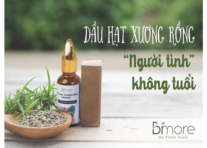 Dầu hạt xương rồng - Người tình không tuổi