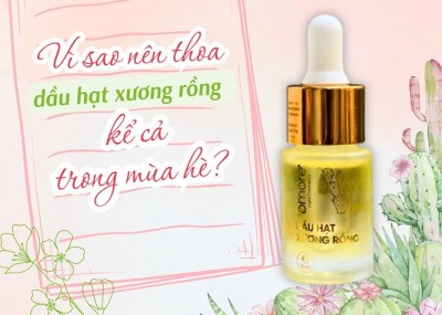 Vì sao nên thoa dầu hạt xương rồng kể cả trong mùa hè?